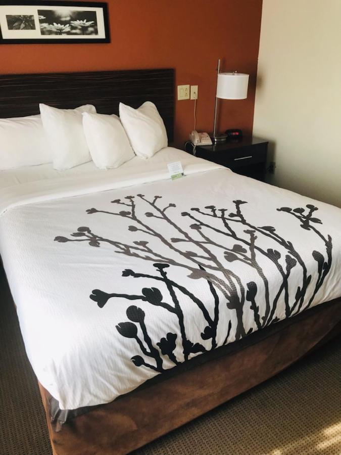 Sleep Inn North Charleston Ashley Phosphate Bagian luar foto