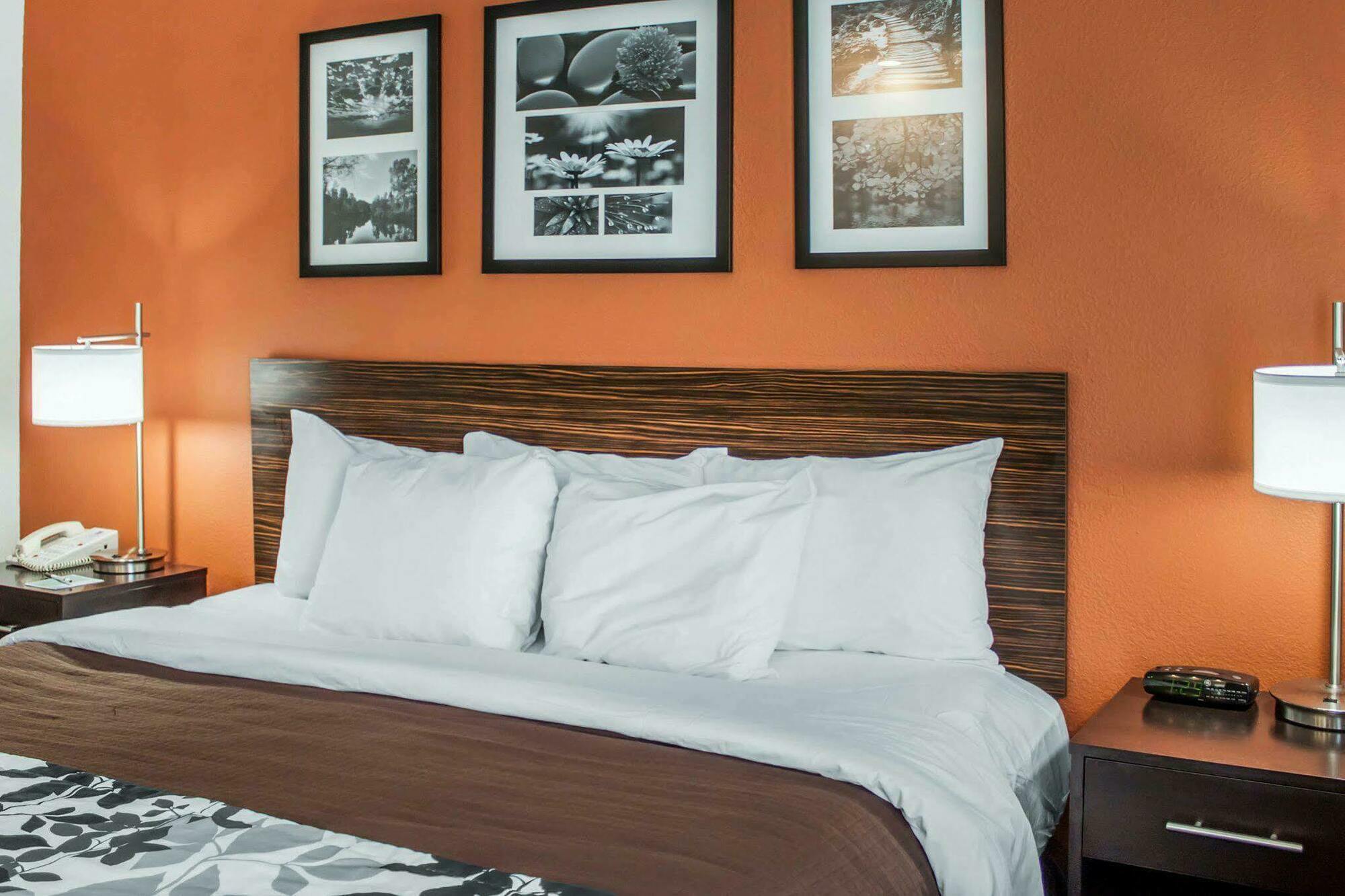Sleep Inn North Charleston Ashley Phosphate Bagian luar foto